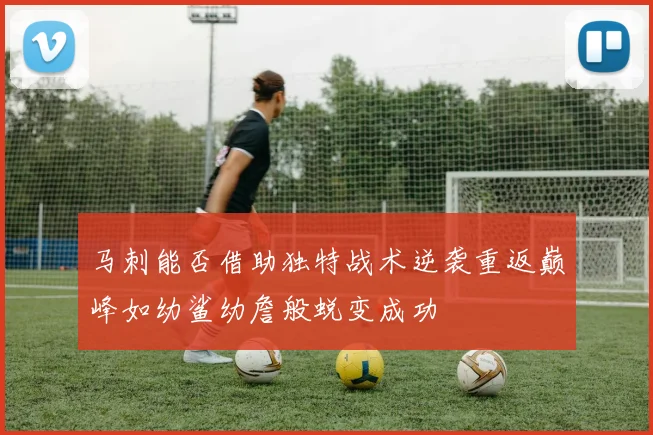 马刺能否借助独特战术逆袭重返巅峰如幼鲨幼詹般蜕变成功